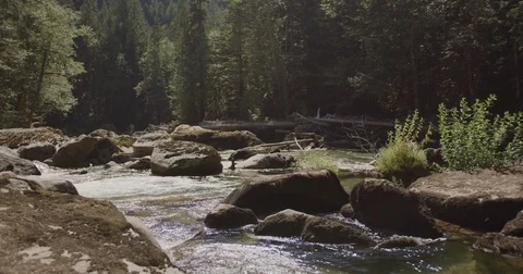 Wide Shot of River In The Summer 库存影片 84741420