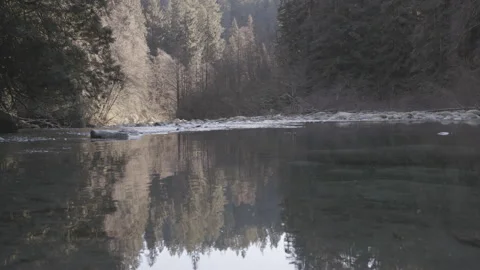 Wide shot of the river water with reflection of the forest 動画素材 138040388