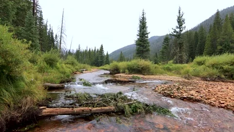 Wide shot of river winding through some trees in Fraser, Colorado 動画素材 164127580