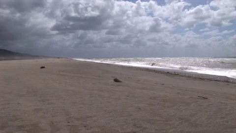Wide shot of a sea with wind on the beach Stock Footage 75994533
