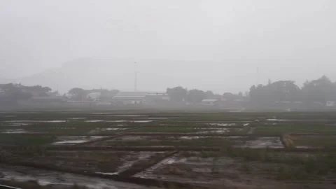 Wide shot sideways, small farm fields in the rain and fog from a speeding train Stock Footage 280447735