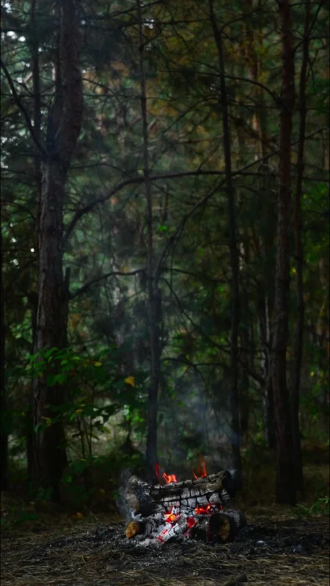 Wide shot of a small campfire burning in the deep dark forest vertical video Stock Footage 345121800