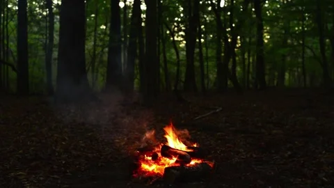 Wide shot of small campfire burning in dark evening forest wood flame Stock Footage 345716480