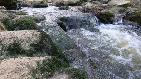 Wide Shot Small Waterfall Over Step On Tar River Stock Footage 114889795