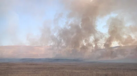 Wide shot of smoke clouds from burning farmers field 動画素材 37773004