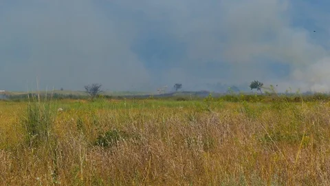 Wide Shot Of Smoke Clouds From Burning Farmers Field 스톡 동영상 107266739