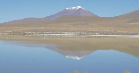Wide shot of snow capped volcano reflected in a still lagoon in Bolivia Stock-Footage 87741157