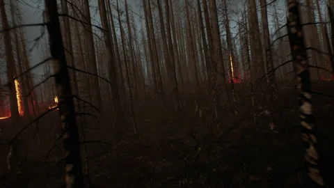 Wide shot to start the war with the dead zombies attack 01 Stock Footage 231955517