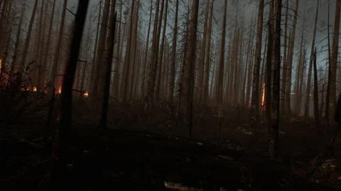 Wide shot to start the war with the dead zombies attack 02 Stock Footage 231957641