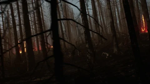 Wide shot to start the war with the dead zombies attack 03 Stock Footage 231959166