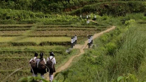Wide shot of students walking through the village road in Nongpoh,in India. Stock Footage 81773748
