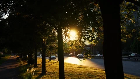 Wide shot at sunset featuring a slow forward camera movement along a narrow asph Stock Footage 342357666