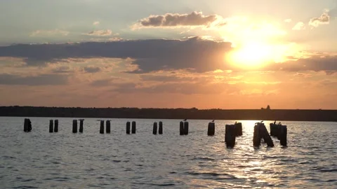 Wide shot of sunset over river with aligned wooden pier stumps 库存影片 313480919