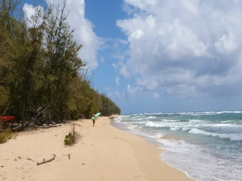 Wide shot of surefer on secluded beach Stock Footage 80390559