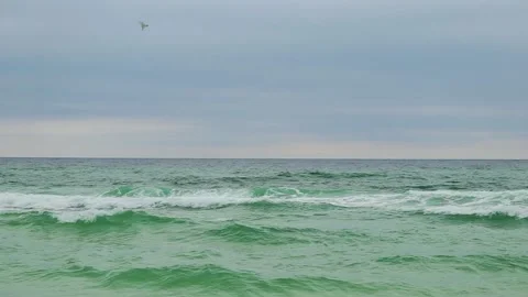 Wide Shot of Tern Diving Headfirst Into Water for Fish on Florida Gulf Coast Video stock 133098078