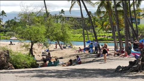 Wide-shot, tiltdown from palm trees to woman walking on busy beach Stock Footage 291464787