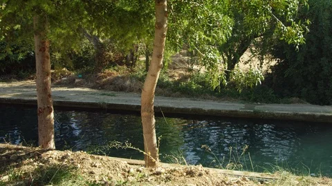 Wide Shot, Tracking Shot, 20 Seconds Or Greater, Outdoors, Day, Walking, Stream, Stock Footage 94081900