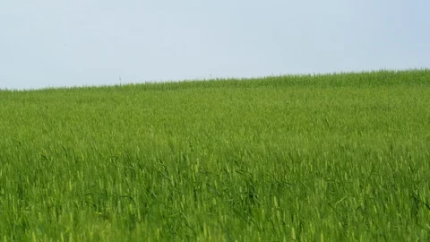 Wide Shot, Tracking Shot, 30 Seconds Or Greater, Rural Scene, Non Urban Scene, Video stock 94049098