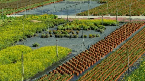 Wide Shot, Tracking Shot, 50 Seconds Or Greater, Agriculture, Talking, Walking, Video stock 94080695