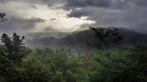 Wide shot on tropic rainforest jungle, mist, fog, rain, clouds Stock Footage