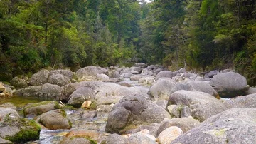Wide shot of Water flowing in between rocks Stock Footage 85490474