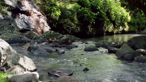 Wide shot of water running down at Annandale falls Stock Footage 75679290