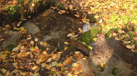 Wide Shot of water stream at Gorodetske village in Zhytomyr province, Ukraine Stock Footage 45957048