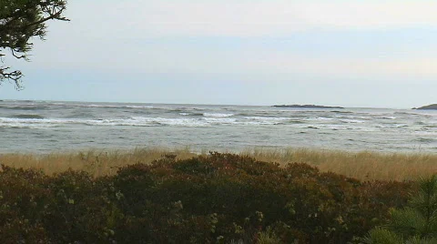 Wide shot of waves rolling in on windy day Stock Footage 759537