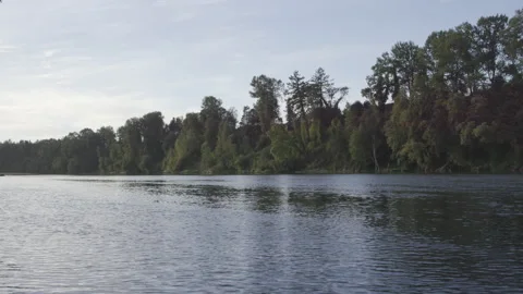 Wide shot of willamette river flowing at golden hour Stock Footage 333424389