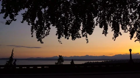 Wide shot of young man running after sunset 動画素材 76236691