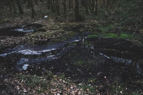 Wide side view of a lake in a forest 스톡 사진