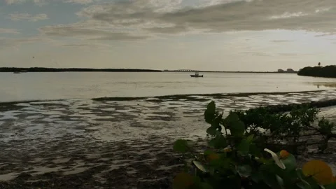 Wide side view out over green and yellow bush, low tide puddles towards motor bo Stock Footage 284730818