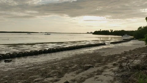 Wide side view out over green and yellow bush, low tide puddles towards two moto Stock Footage 284730866