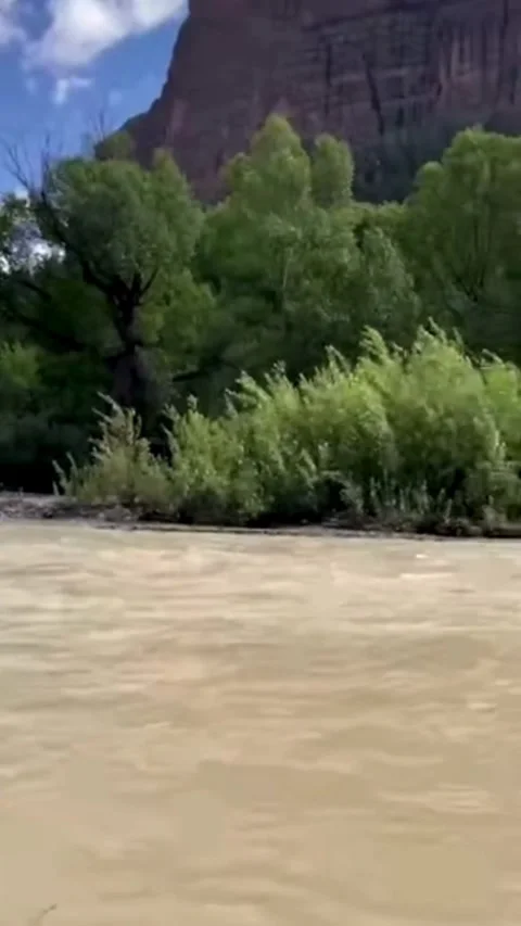 Wide Silty River Flowing Through a Mountain Canyon Stock-Footage 331947454