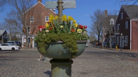 Wide Slide of Daffodils at The Monument during Parade With Kids Walking by Stock Footage 87724613