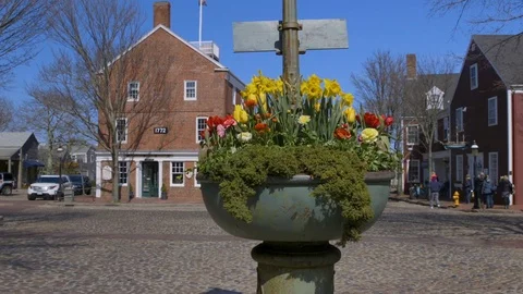 Wide Slide of Daffodils at The Monument During the Daffodil Parade, Nantucket Stock Footage 87838726