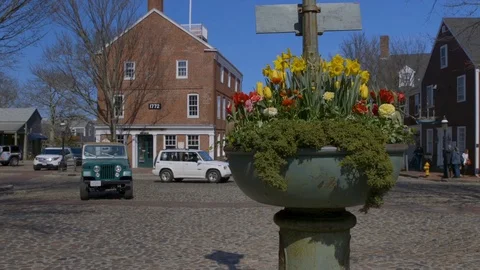 Wide Slide of Daffodils at The Monument on Main Street During parade With jeep Stock Footage 87839399