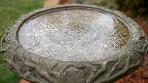 Wide Slow-Mo raindrops In Birdbath HD Stock Footage 127524521