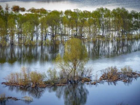 Wide-spread river Stock Photos