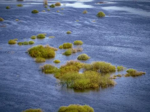 Wide-spread river Stock Photos