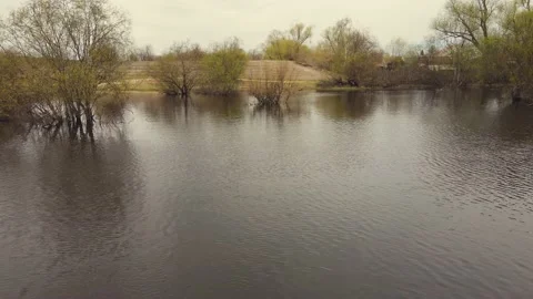 Wide spring flood, river overflow, flooded trees, aerial view. Stock Footage 225416319