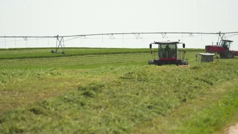 Wide Static of 3 Swathers in Front Stock Footage 221862904