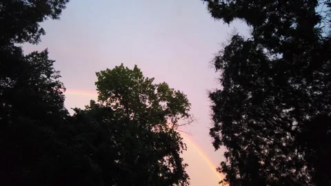 Wide Static Shot of Double Rainbow Hidden behind Dark Tree Canopy Silhouettes Vidéo 336954836