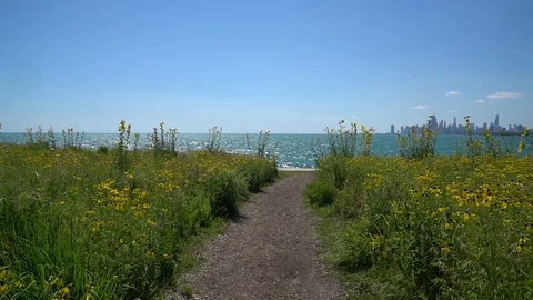 WIDE STATIC SHOT DOWN PRAIRE PATH SHOWING LAKEFRONT WITH CHICAGO ON THE HORIZON Stock Footage 106126363