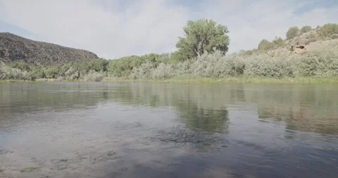 Wide static shot of the slow moving San Juan River with the cottonwood perch  Stock Footage 336637360