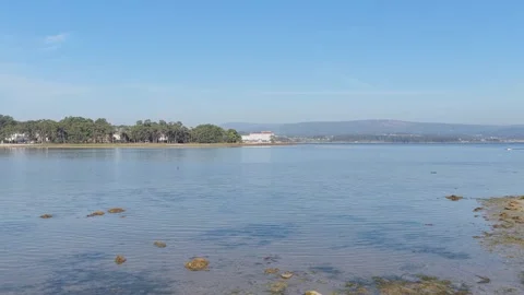 Wide static shot of a tranquil coastal lagoon in O Grove, Galicia, Spain. Stock Footage 346698812