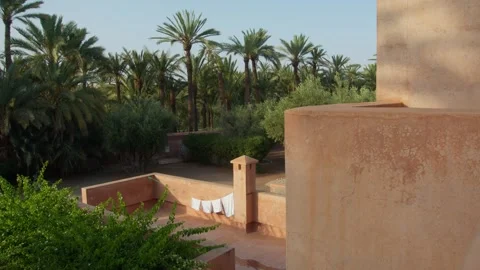 Wide static shot of white cloth hanging in Moroccan courtyard with palm tree Stock Footage 315100220
