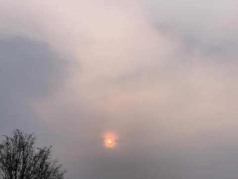 Wide Static Sky View with Hazy Sun and Tree Silhouette Stock-Fotos