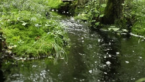 Wide stream Stock Footage 84735088