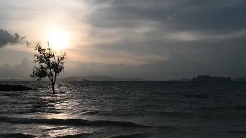 Wide sunset seascape with tree at Klong Muan Vidéo 333045001